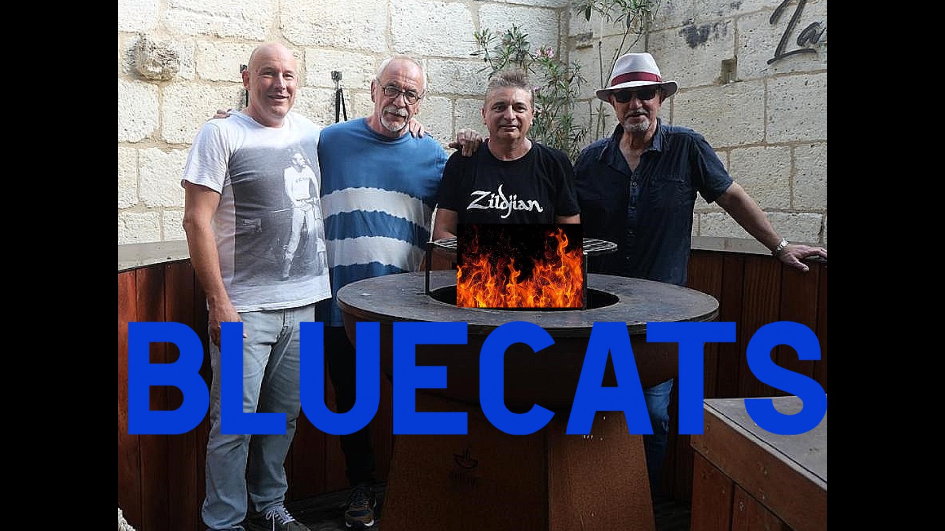 bluecats